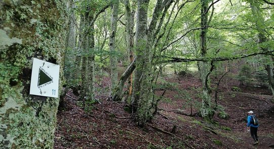 Img_20210715_093141
