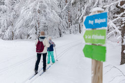Activites-neige-ski-de-fond-sancy